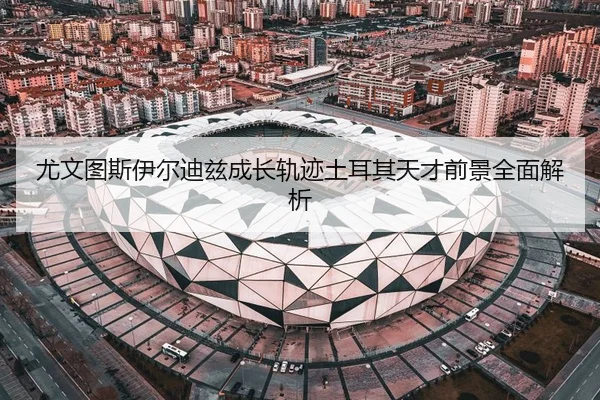 尤文图斯伊尔迪兹成长轨迹土耳其天才前景全面解析